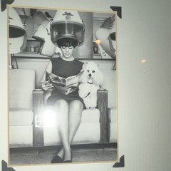 Vintage Black & White Photograph Woman Under Hair Dryer w/ Dog, Framed Matted