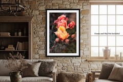 Cactus Flower Photography Print: West Texas Prickly Pear Desert Nature Photo