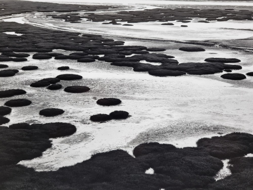 Richard Garrod, gelatin silver B&W photography art original