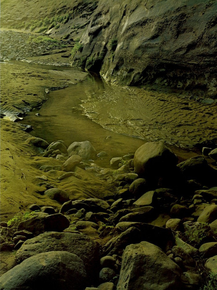 1962 Eliot Porter Glen Canyon Reflected Light at Cathedral Art Photo Gravure