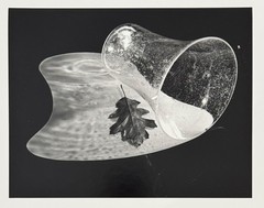 Fritz Brill, Vase with Negative Shadow, Photograph, Estate, 1949/2004