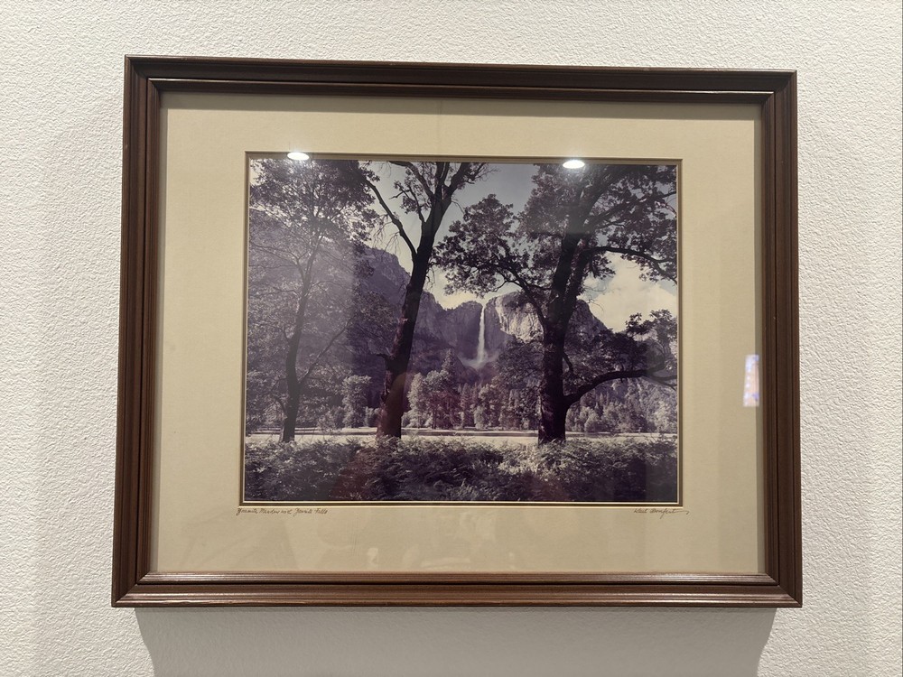 Karl Bonfert Yosemite Meadow with Yosemite Falls Photograph