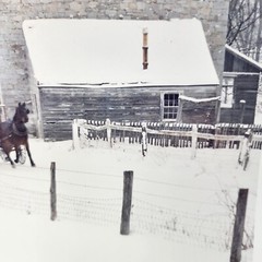 Dick Brown 8×10 Photo Amish Horse & Buggy Winter Signed 75/250 Authentic Country