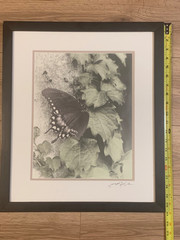 Signed Sepia Butterfly Nature Photograph – Close-Up Botanical Art Print