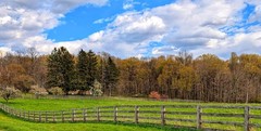 MH Nature & Landscape Photographs – Flowers Trees Water Landscapes 16×20 Canvas.