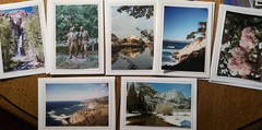 7 Exclusive Paul Mink Reel Life Photos Signed + Providence / Greeting Cards