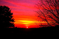 Digital Image Picture Photo Wallpaper Background Desktop AI Art Sample Product