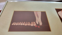 David A Harris Ballet Pointe Shoes Ballerina Dance Framed Art Photgraph Prints