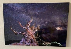 Kirk Mann Photography. Ancient Being. Ready to hang. Aluminum. Signed!