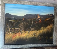 Photograph Of Desert In The Springtime Framed 15 1/2 X 12 1/2