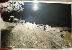 Lot Of 11 Photographic Plates Early 20th Century From Thonon-Les-Bains