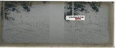 Campaign, Nature, Stereoscopic Glass Plate, Black & White Negative 4.5×10.7 Cm