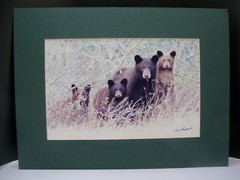 Gerry Lamarre Wildlife Photograph Print Brown Bear Family Matted 16″ x 12″