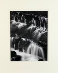 ADAMS, Ansel. (1902–1984) Fern Spring, Dusk Yosemite Valley, California
