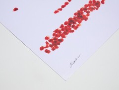 Pomegranates – 17″ x 22″ Fine Art Photography Print – Artistic Food Photography