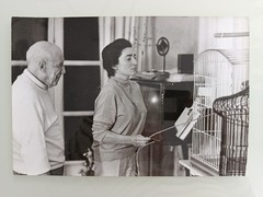 1956 Original Vintage Photo Pablo Picasso and Jacqueline ROQUE