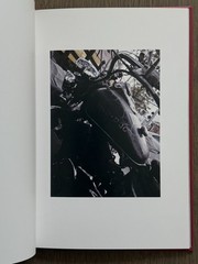 🎈SIGNED Daido Moriyama – Color Photograph, 2011, Limited Edition Super RARE!