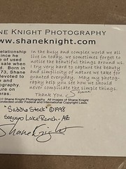 🔥 Shane Knight Saddles Saguaro Lake Ranch Arizona Signed ‘98 Horses Ranch Farm