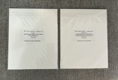 Art Print Set of 2 Fireworks by Jean-Louis Monfraix Washington, DC 2003 and 2009