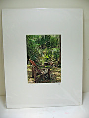 ART PHOTOGRAPHY «RESTED» On The Cross Creek Matted Color 11×14 By Larry Santucci