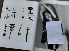 🎈Signed! Nobuyoshi Araki – Bokujū Kitan / Ink Dream Chronicles, 1994, Lim Ed