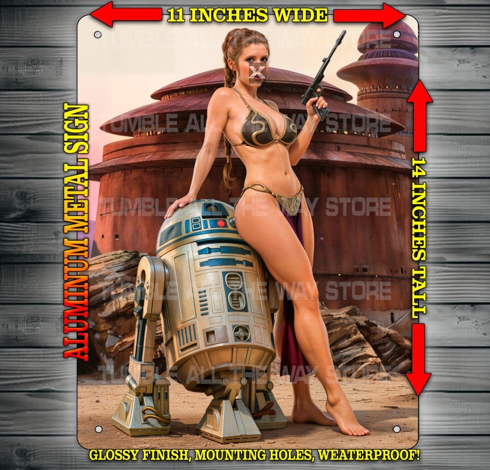 Slave Leia and R2D2 Outside Jabbas Palace Star Wars Metal Sign Art 14″ x 11″