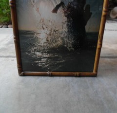 VINTAGE PHOTOGRAPH PRINT OF A HORSE REARING IN THE OCEAN SUNSET 1970’s