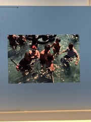 Lot Of 34 Haiti 1979 Ocean Village Resort 35mm Color Slides
