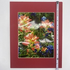 Matted Pink Blue Flowers Photo Print 11 X 14 Wall Art Gallery Decor