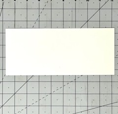 Toshio Shibata (b. 1949) Art Announcement Card 1996 – The Edge Of Nature