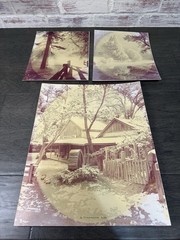 Vintage Photographer Alexandre Nodopaka Photo California Signed Lot Of 3 Rare