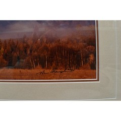 Thomas Mangelsen Signed Changing Seasons Grand Teton National Park 1980 Print