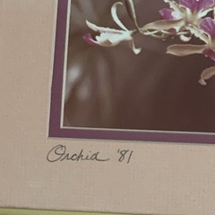 Original Photo Pink Orchid Signed & Framed Estate 1981