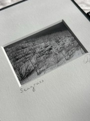 3 Black & White Minimal Modern Framed Photo Art Nature Titled Artist Signed