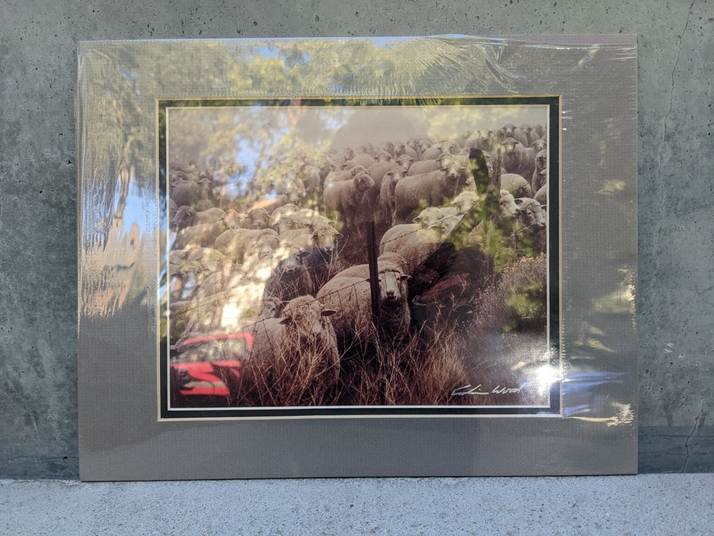 (New-Sealed & Matted) ’84 Erskine Wood Hand Signed «Preaching to the Flock»