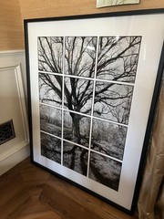 James Iska Black and White Photograph – Chicago Garden Tree – originally $5000