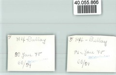 40055866 – 5584 Bullay Local View