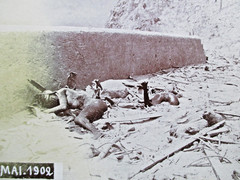HERITAGE priv. Photo of old time 1902! Dead in volcanic eruption Mont Pelee MARTINIQUE