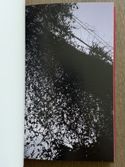 🎈SIGNED Daido Moriyama – Color Photograph, 2011, Limited Edition Super RARE!
