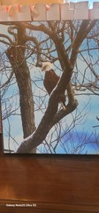 11x14in Canvas Print For Sale