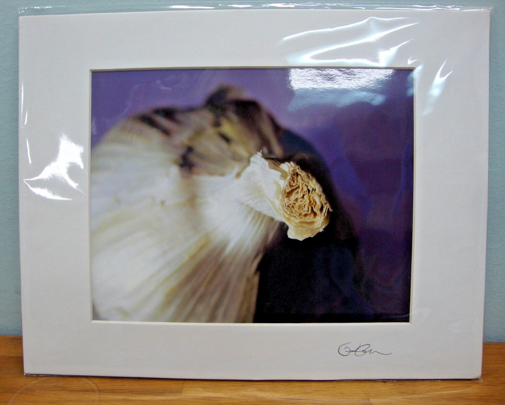 Garlic in Purple 8 by 10 Matted Original Photo by Patricia Lee Connors