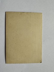 orig. CDV photo lithograph around 1860 Tamina Switzerland St. Gallen