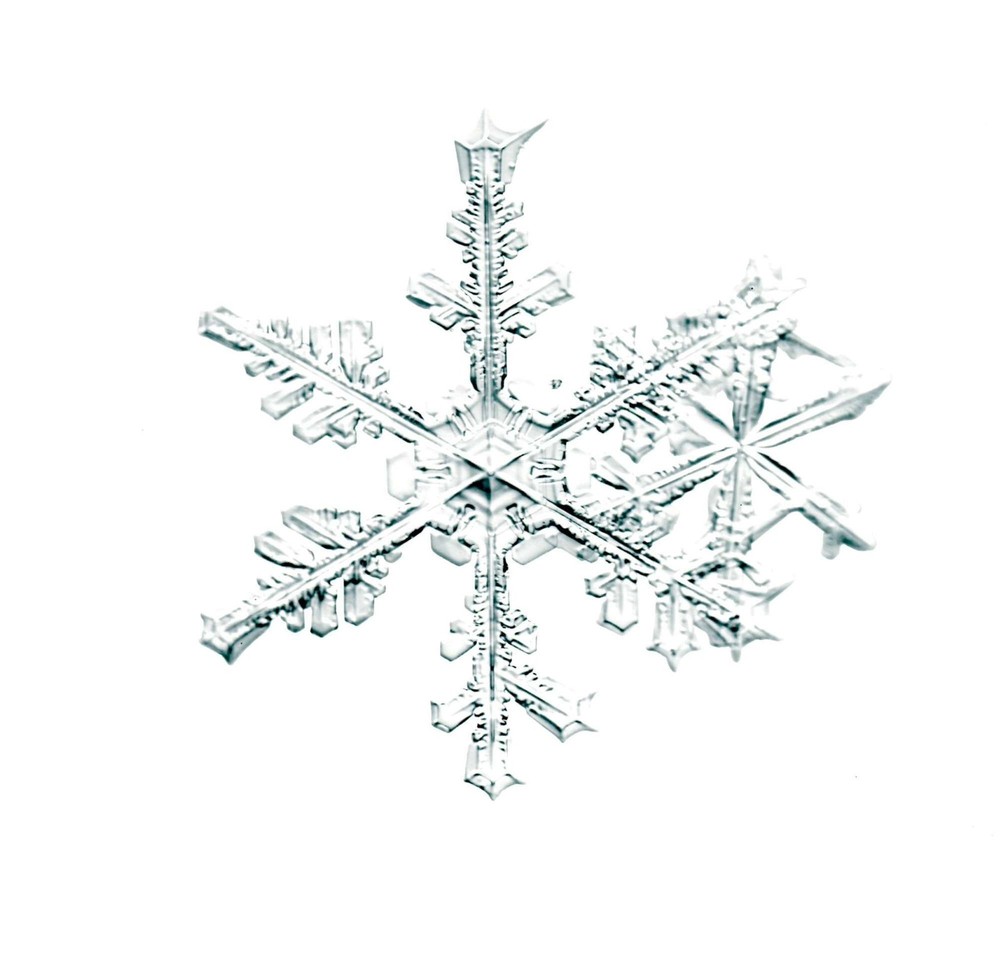 Doug Starn / SNOWFLAKE PRINT SIGNED ALLEVERYTHINGTHATISYOU SNO6_005.1 8 x 8 1st