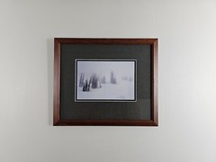 Signed David Whitten Limited Edition 35mm Photograph Print 17.5×14.75 Framed Art
