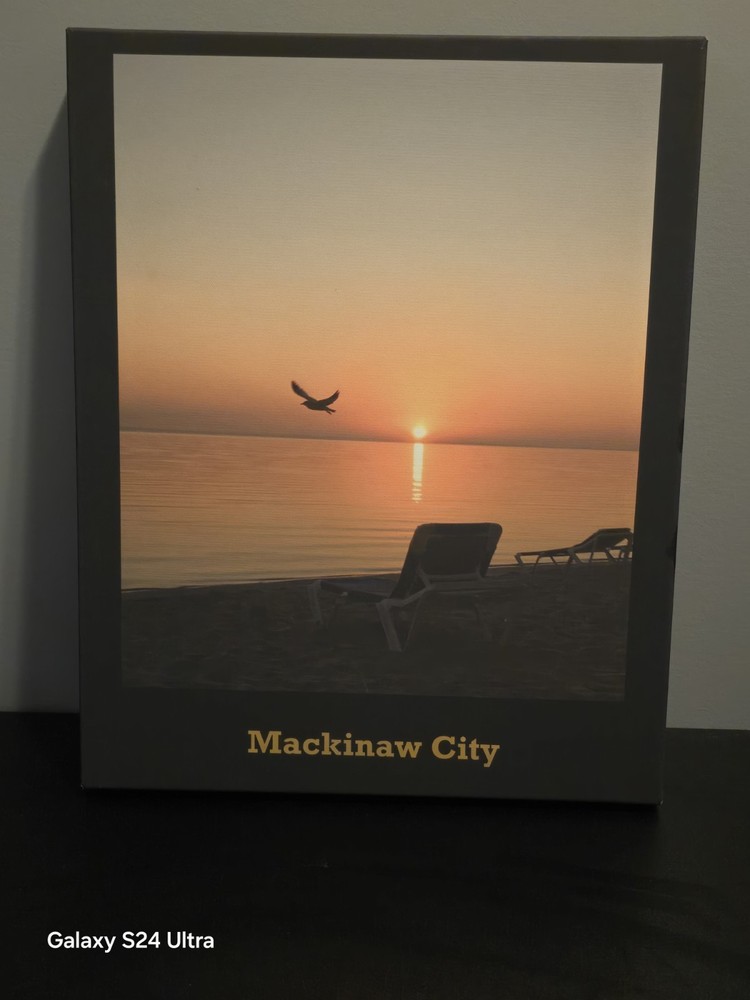 Seagulls And Sunrise With SILHOUETTES OHH MY Vacation SHOTS 16X 20 Canvas