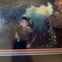Diving With Fish Framed Photograph Cayman Islands 14” X 12” 1990’s