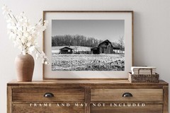 Black and White Photography Print | Barn Picture | Arkansas Wall Art