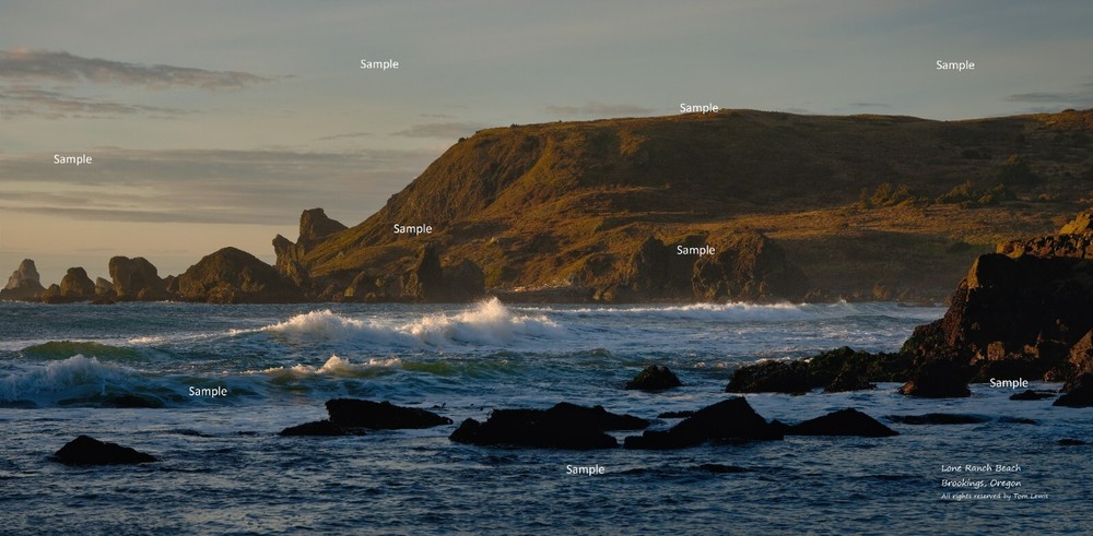 Oregon Coast #25 Lone Ranch Beach in Winter Brookings Oregon Photo Print OC06