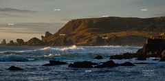 Oregon Coast #25 Lone Ranch Beach in Winter Brookings Oregon Photo Print OC06