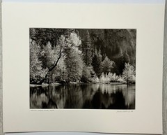 Original GORDON H HASTINGS California Yosemite Death Valley Gelatin PHOTOGRAPHS